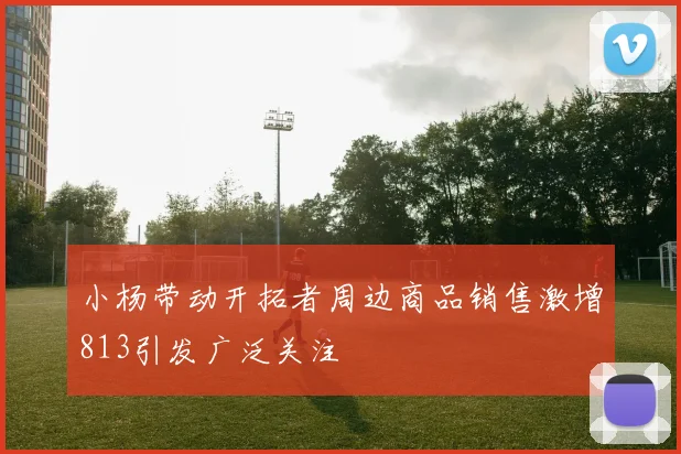 小杨带动开拓者周边商品销售激增813引发广泛关注