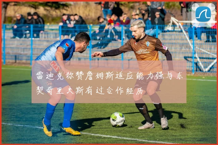 雷迪克称赞詹姆斯适应能力强与东契奇里夫斯有过合作经历