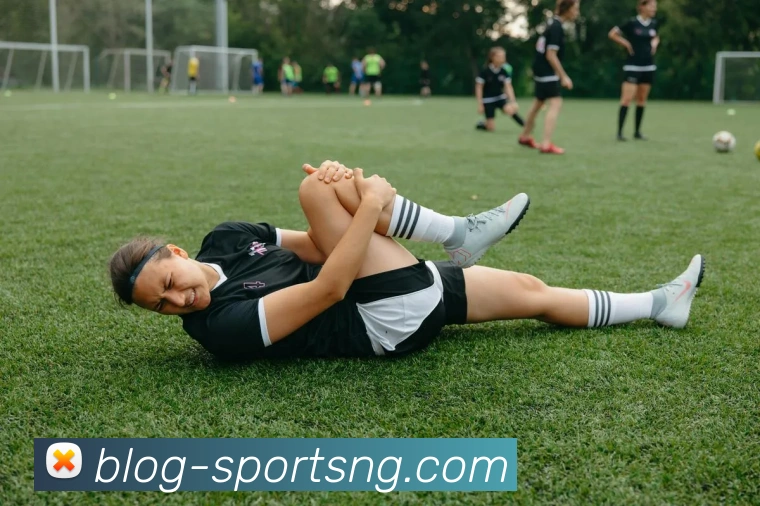 南宫体育平台生态图