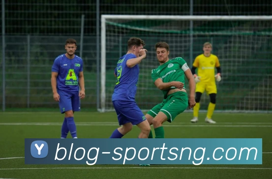 南宫体育APP 封面图